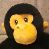 Spencer Jay - @spencer.jay1 - TikTok