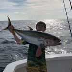 @spencer.johnston - Instagram