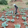 Spencer John Irungu - @spencer.john.irun - TikTok