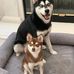 Spencer Kam - Facebook