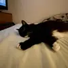 spencerkit - @spencerkit - TikTok
