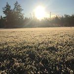 Spencer Lanning - @spencer_lanning134 - Instagram