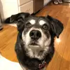 Spencer - @spencertloughlin - TikTok