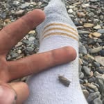 Spencer Levy - @artstagram_boiii - Instagram