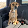 Spencerlong - @spencerl0365 - TikTok