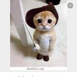 Spencer Lowe - @spencer_loweh420 - Instagram