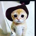 Spencer Lowe - @spencerlowe_h420 - Instagram