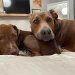 Spencer Lowe - Facebook