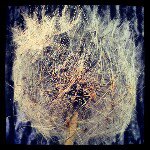 Spencer Mathews - @spencermathews - Instagram
