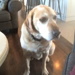 Spencer Mckenzie - @spencermckenzie15 - Instagram