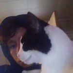 Spencer McNeely - @spencermcneely15 - Instagram