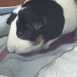 Spencer Neely - @spencerneely0 - Instagram