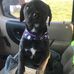 Spencer Owens - Facebook