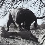 Spencer Parsons - @spencerparsons90 - Instagram