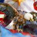 Spencer Reay - Facebook