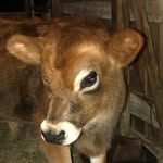 SpencerRead - @spenceroliverio05 - Instagram