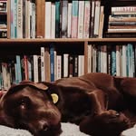 @spencerreads - Instagram