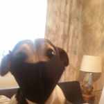Spencer Rogers - @spencer.rogers.35912 - Instagram