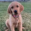 spencerrogers19 - @spencerrogers19 - TikTok
