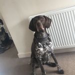 Spencer Russell - @spencer_rusty - Instagram