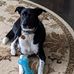 Spencer Samuels - Facebook