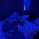 Espençer seide - @espencerseide - Instagram