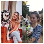 Lynne Semple - @spencer_james_the_goofy_husky - Instagram
