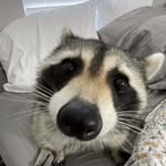 Spencer Shank - @spencershank27 - Instagram