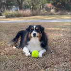 Spencer Smart - Facebook