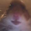 SpencerA - @spencerwander - TikTok