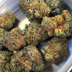 John - @weed_spencer - Instagram