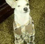 Spencer Wilbert Jay Bussanich - Facebook