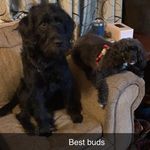 Spring Jones - @lilymom17 - Instagram
