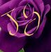 Sravani Alluri - Facebook
