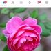 Sree Chatterjee - Facebook