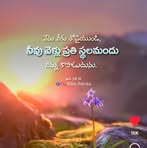 Sri Latha - Facebook