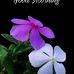 Sridhar Devarapalli - Facebook