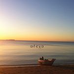 Stacey Adam - @adamale000 - Instagram