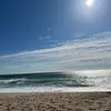 Stacey Adams - @stacey.adams - TikTok