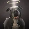 staceyadamchakur - @staceyadamchakur - TikTok