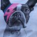 Stacey Albert - Facebook