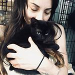 Stacey Albert - @jerseygirlfostercats - Instagram
