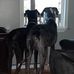 Stacey Alderman - Facebook