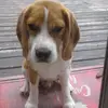 Stacey😉 - @stacey.alderman1 - TikTok