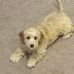 Stacey Amos - Facebook