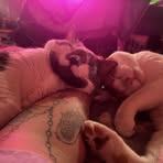 Stacey Anthony Edward Sheltz - Facebook