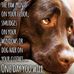 Stacey Bach - Facebook