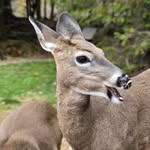 Stacey Badger Johnston - @stacey.savoy1691 - Instagram