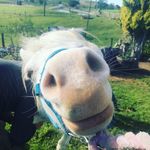 Stacey Bain - @mrbinkster - Instagram