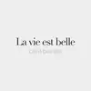 Stacey Vitkoczy Bain - @sbaines1024 - TikTok